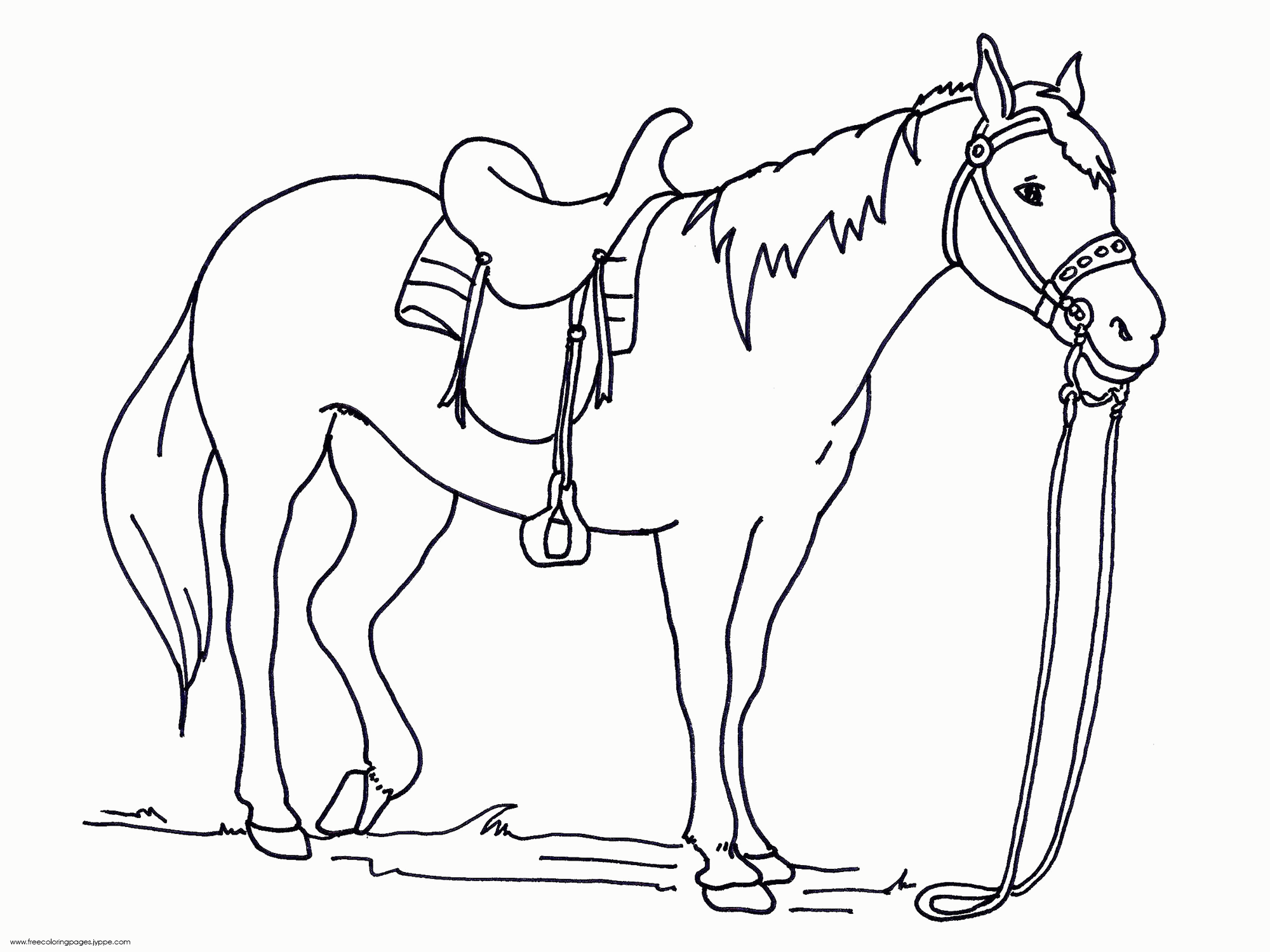 Kolorowanka koń z siodłem odpoczywa